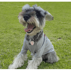 Camiseta Mascotas Minnie Gris Claro