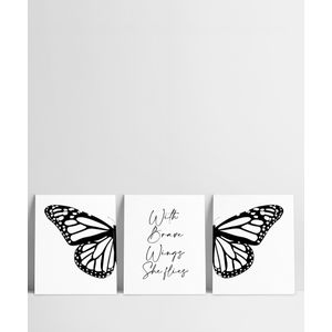 Set x 3 Cuadros Mariposas - Gama Digital