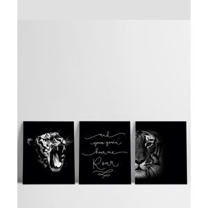 Set x 3 Cuadros Tigers And Lions - Gama Digital