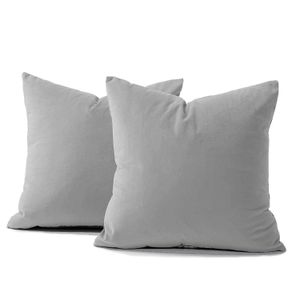 Funda X2 Cojines Decorativos Cuadrados en Tela - BANZAY