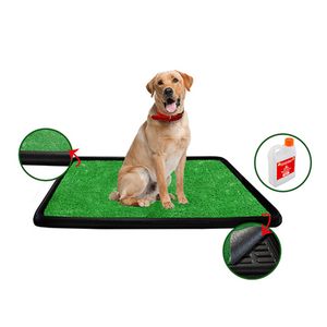 Potty pet bandeja  - Am mascotas