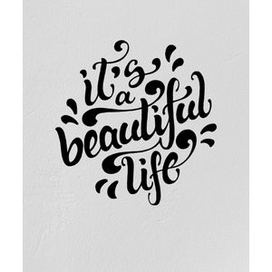 Vinilo Beautiful Life - Interior P