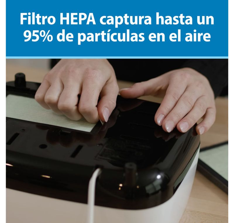 image-e52a333dca8d4237b156ff99041fe22d