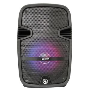 Cabina de Sonido Parlante Bluetooth 12 Pulgadas Portatil Recargable