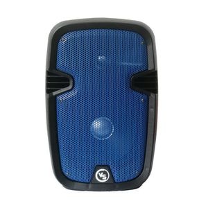 Parlante Bluetooth Portatil Portable Recargable 8 Pulgadas